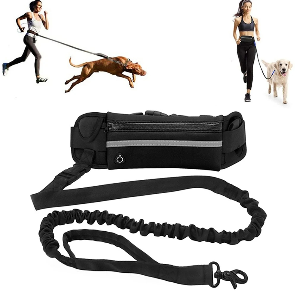Pet Supplies Stores - Pet Leash Pet Supplies Hands-Free Dog