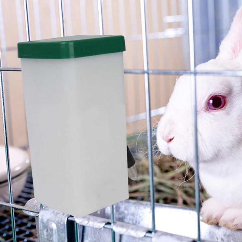Pet Water Fountain - Creative Rabbit Water Dispenser Drinker Feeder