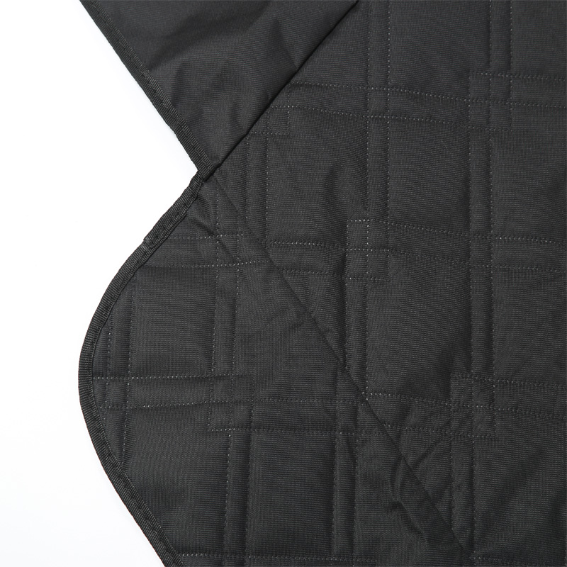 Pet Pad for Tesla Model 3 Y Re - Dog Raincoat recensie en prijs