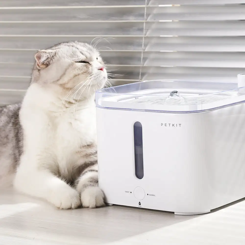CANBOUN EVERSWEET Series Pet S - Pet Water Fountain recensie en prijs