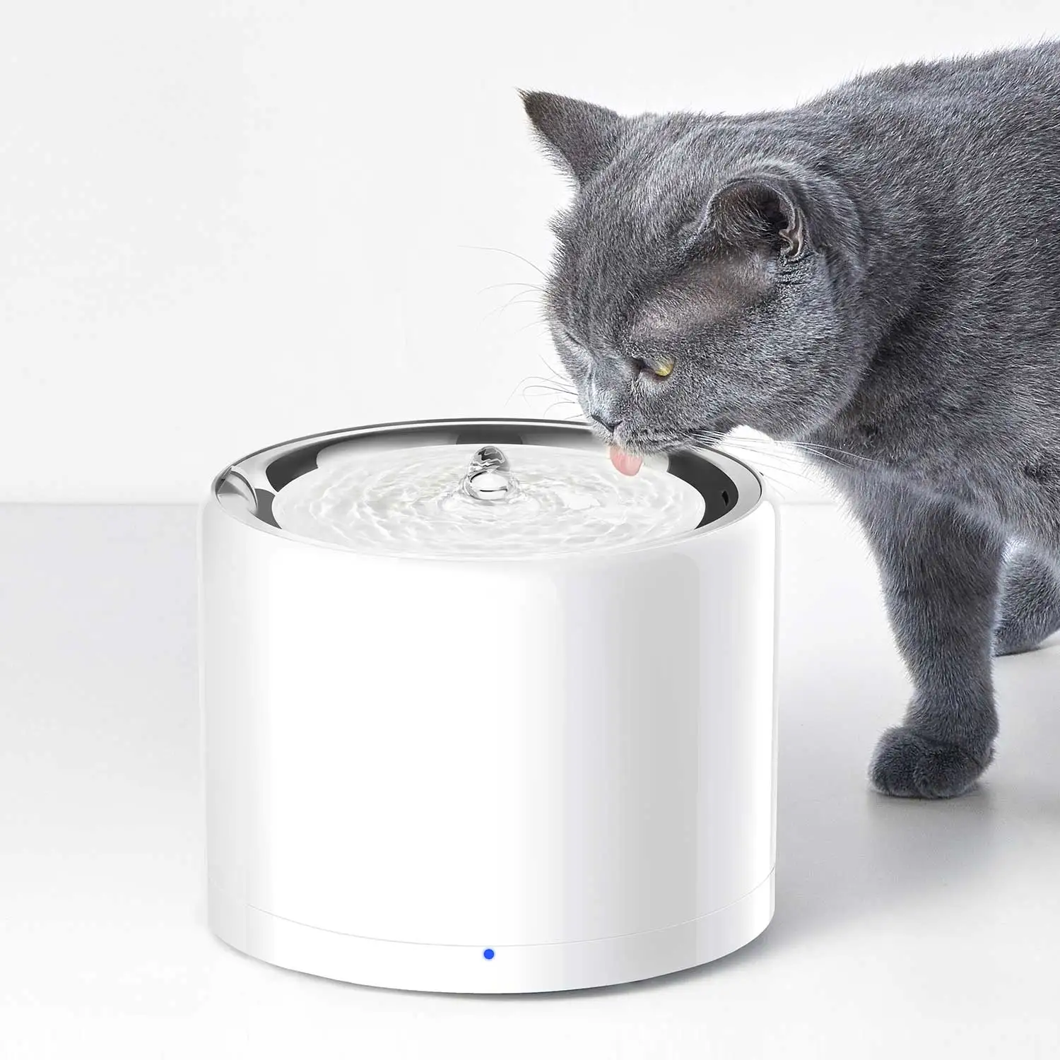 CANBOUN EVERSWEET Series Pet S - Pet Water Fountain recensie en prijs