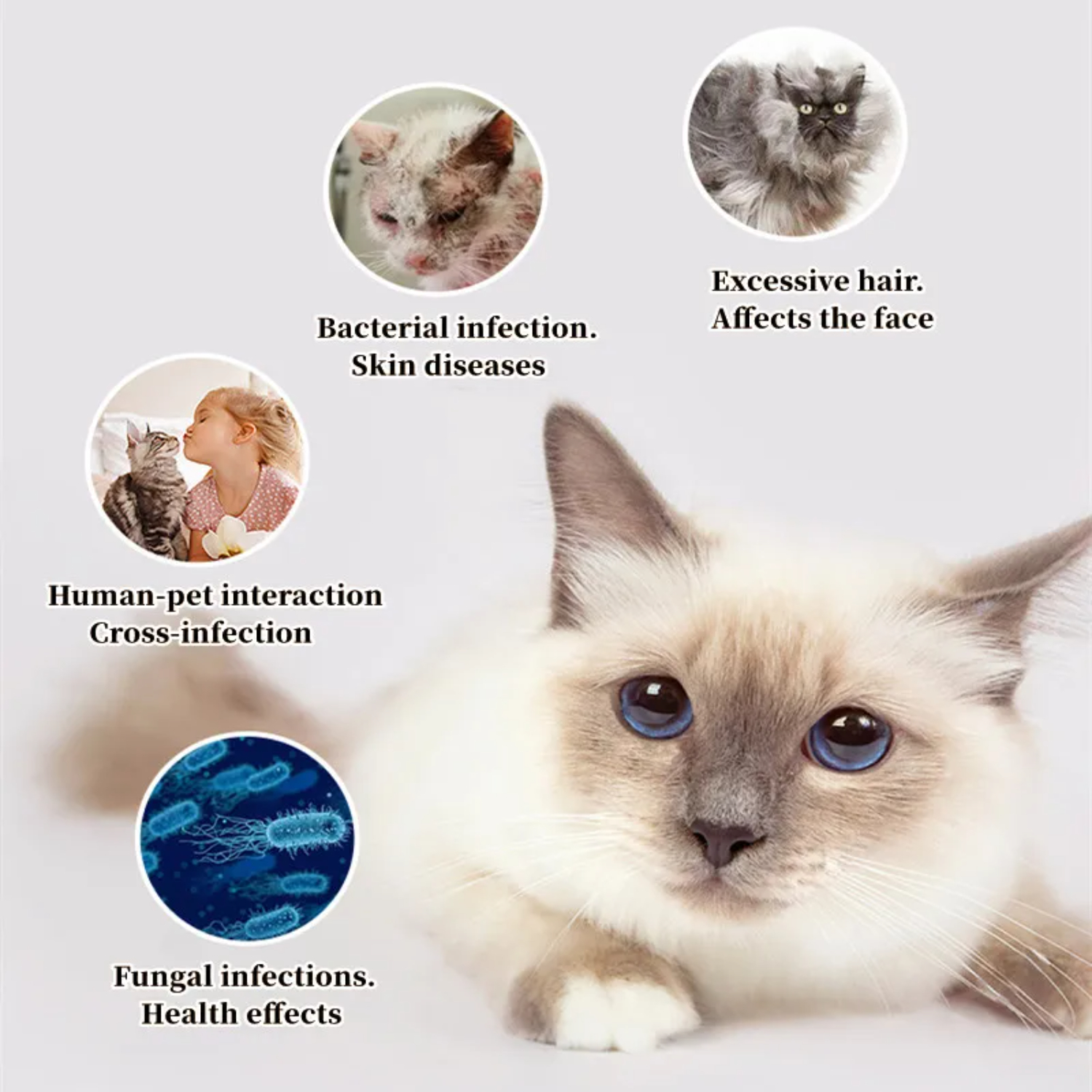 Cat Comb Dog Hair Remover Brus - Pet Supplies Grooming Hours recensie en prijs