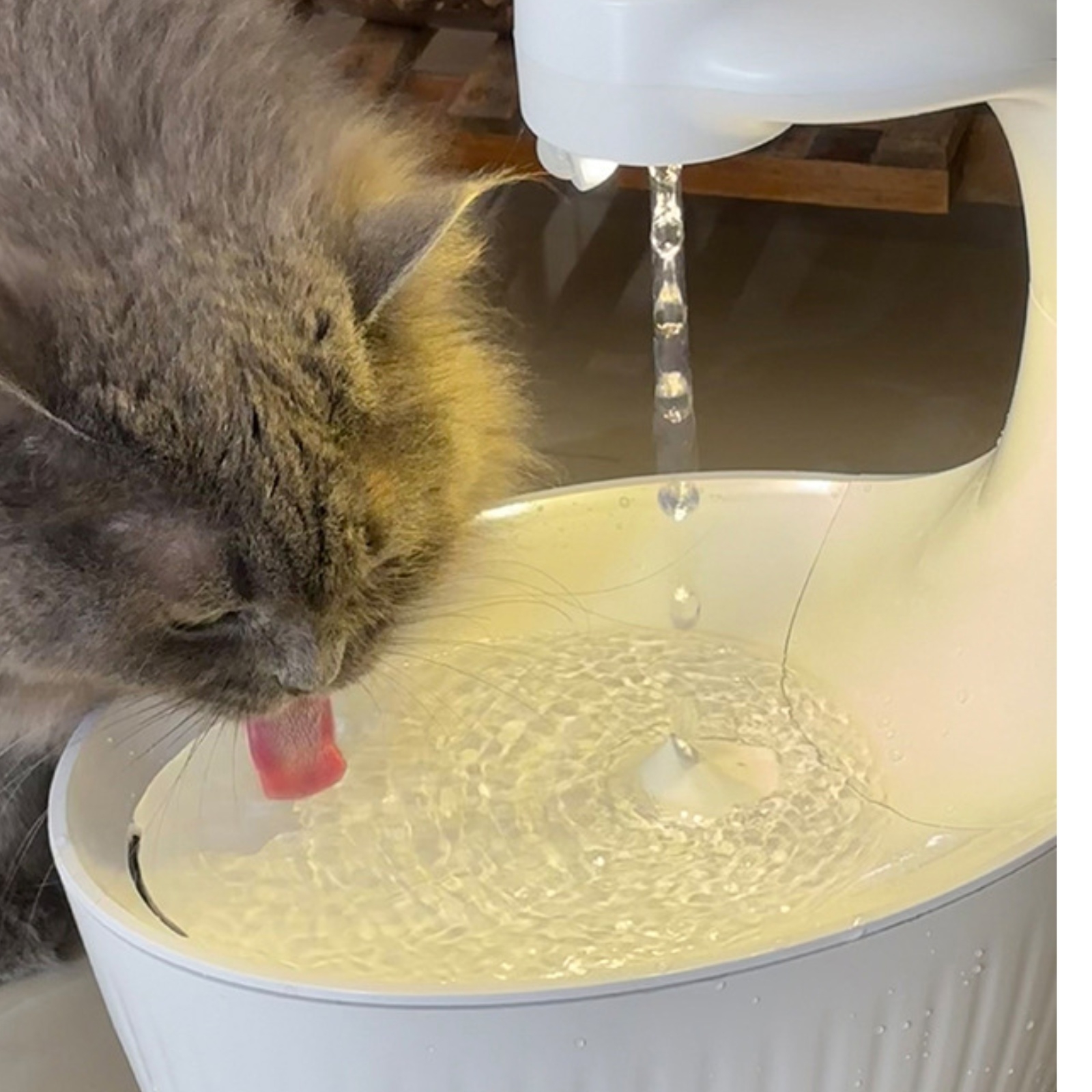 Wireless Feline Water Fountain - Pet Water Fountain recensie en prijs