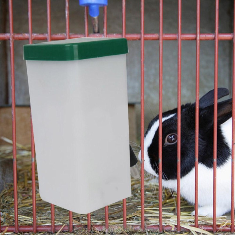 Creative Rabbit Water Dispense - Pet Water Fountain recensie en prijs