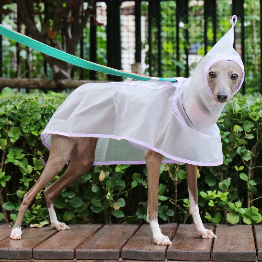 Waterproof Rainproof Windproof - Dog Raincoat recensie en prijs