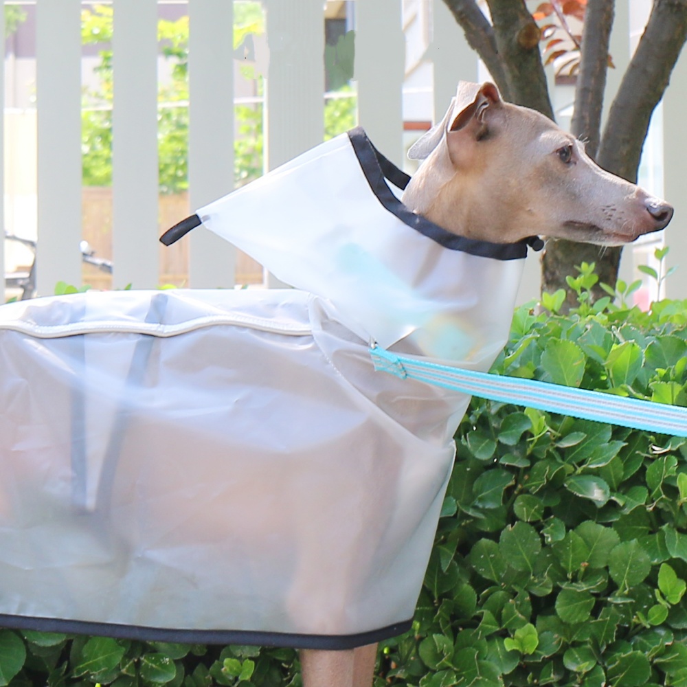 Waterproof Rainproof Windproof - Dog Raincoat recensie en prijs