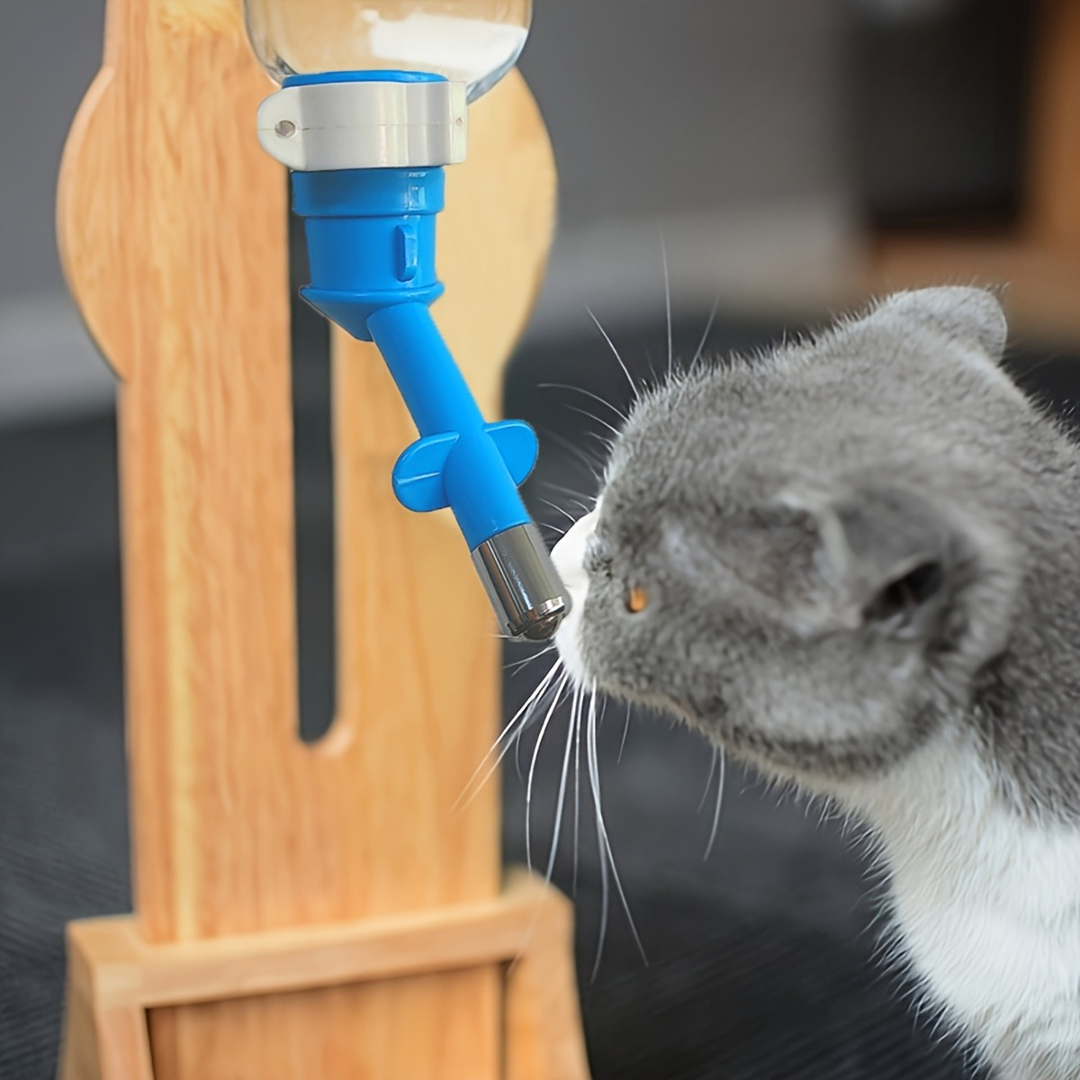 Ball-type Drinking Fountains P - Pet Water Fountain recensie en prijs