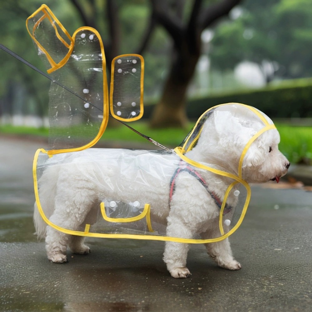 Dog Raincoat Transparent Whole - Dog Raincoat recensie en prijs