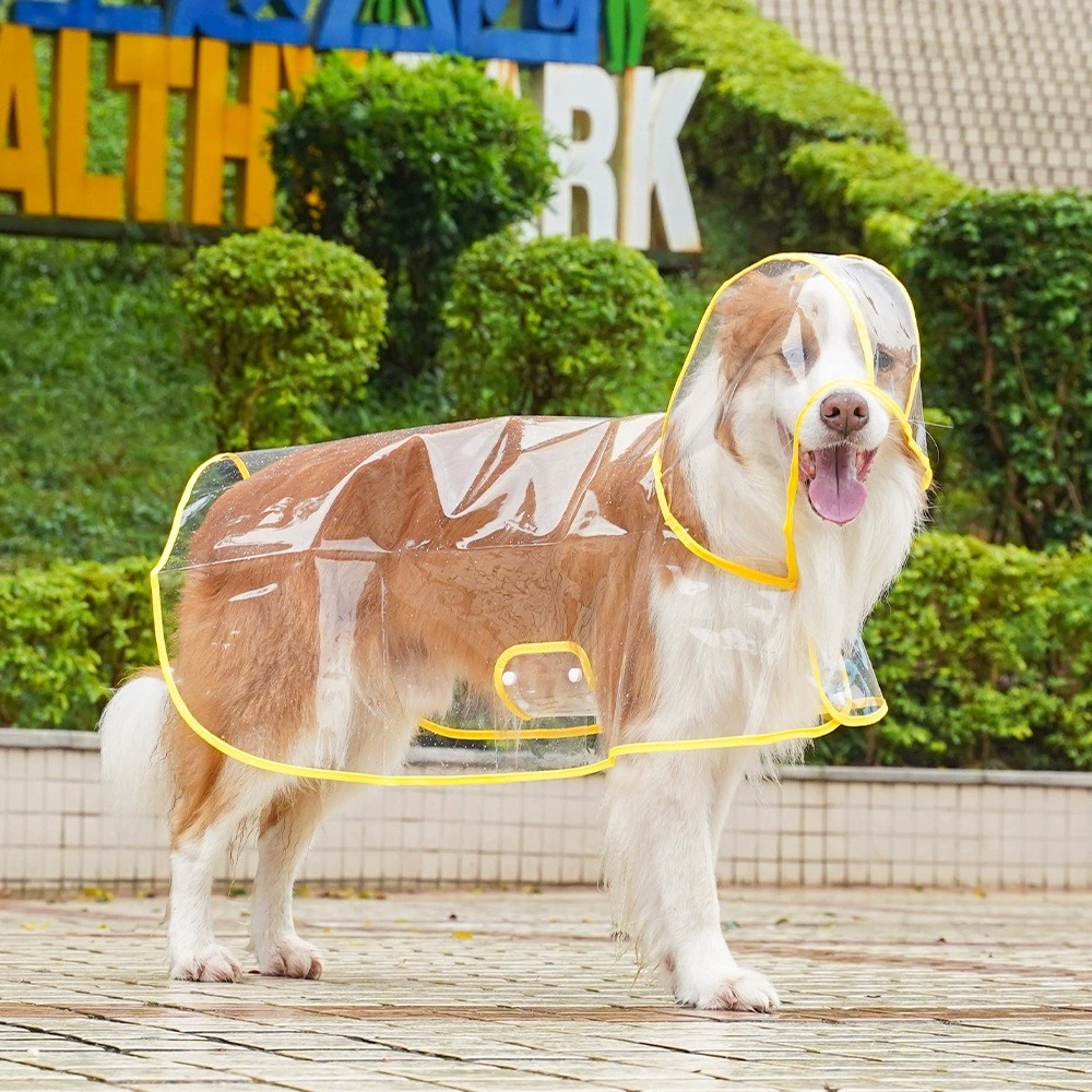 Dog Raincoat Transparent Whole - Dog Raincoat recensie en prijs